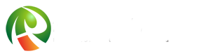 安徽瓦軸軸承有限公司